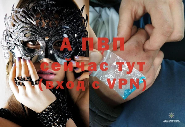 таблы Богданович