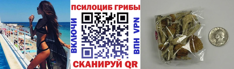 ОМГ ОМГ как зайти  Астрахань  Галлюциногенные грибы Cubensis 